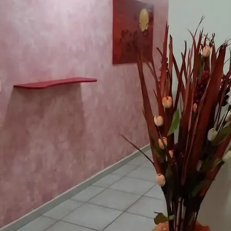 Il Tulipano 3*