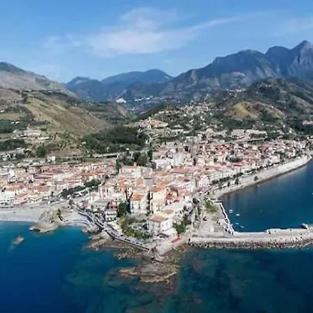 Il Tulipano Rogliano