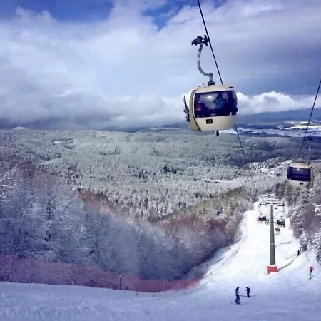 Couette-café Il Tulipano