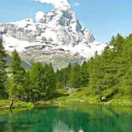 Il Tulipano Bed and Breakfast Rogliano