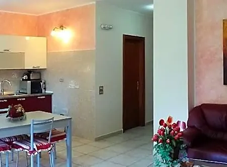 Il Tulipano