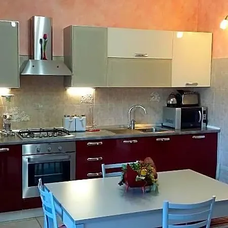 Il Tulipano Rogliano