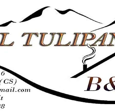 Il Tulipano
