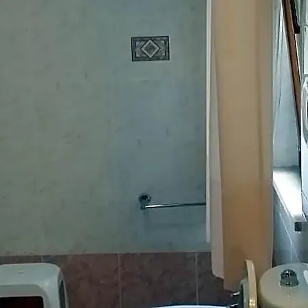 Il Tulipano