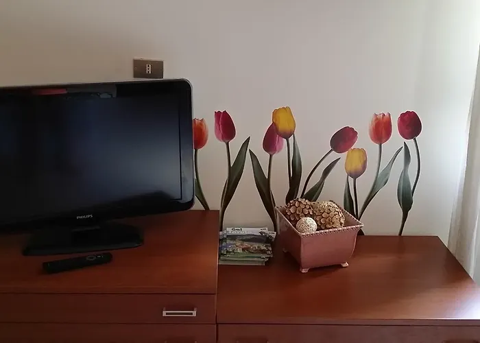 Il Tulipano Rogliano