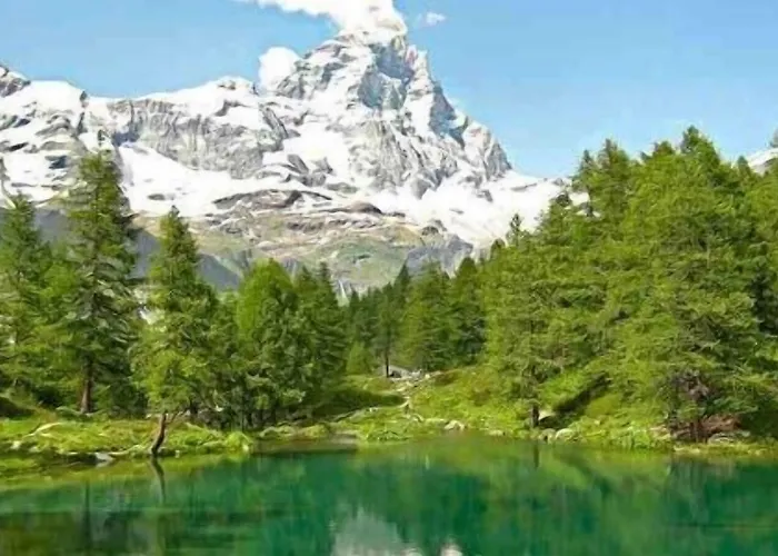 Il Tulipano Panzió Rogliano