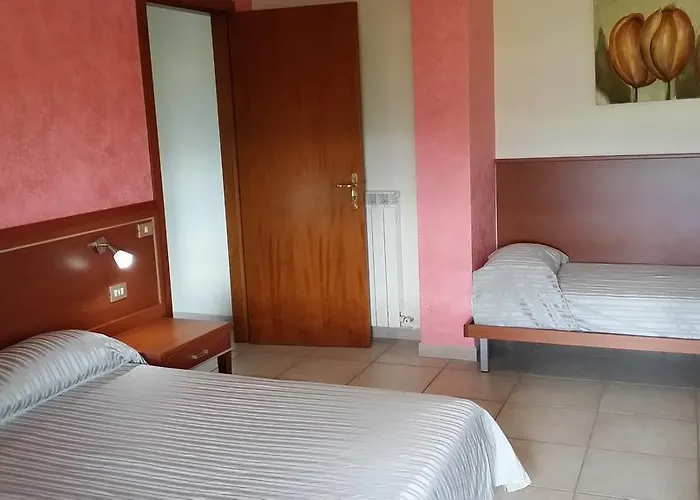 Il Tulipano Rogliano